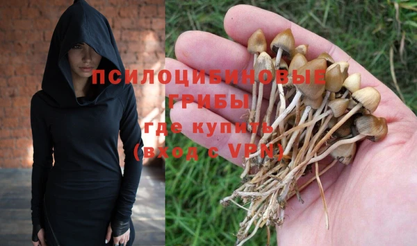 не бодяженный Армянск