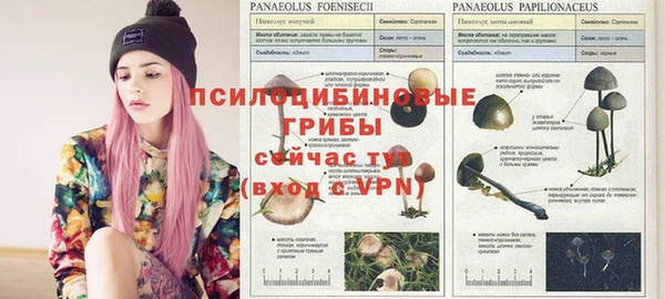 не бодяженный Армянск
